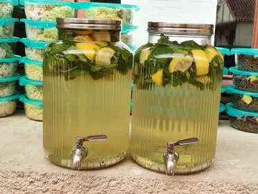 Boissons detox faites maison