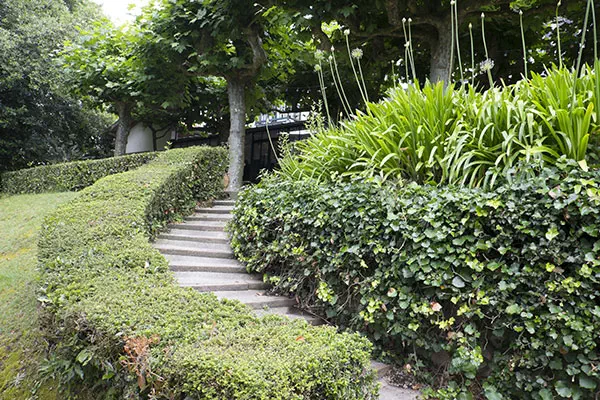 Jardin fleuri