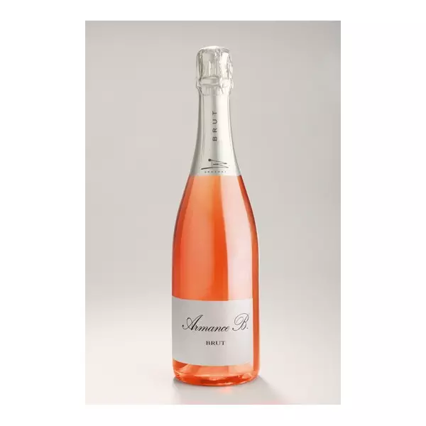 Armance - B Brut  Rosé Cabernet-Gamay VMQ.jpg