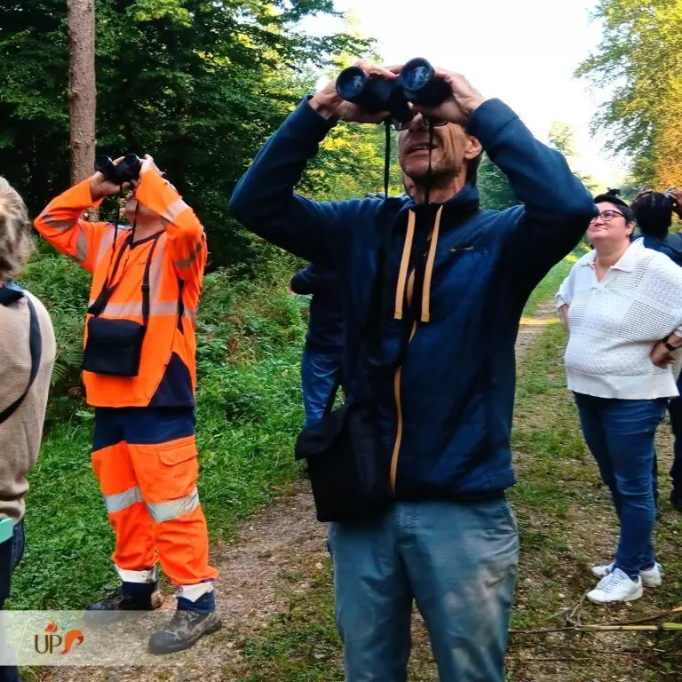 Initiation aux sciences naturalistes