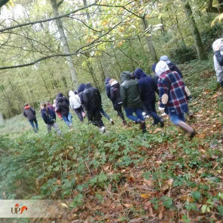 Connexion à la nature en coeur de forêt