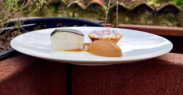 Dos de Skreï, fèves, romarin et pain brûlés 
