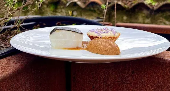 Dos de Skreï, fèves, romarin et pain brûlés