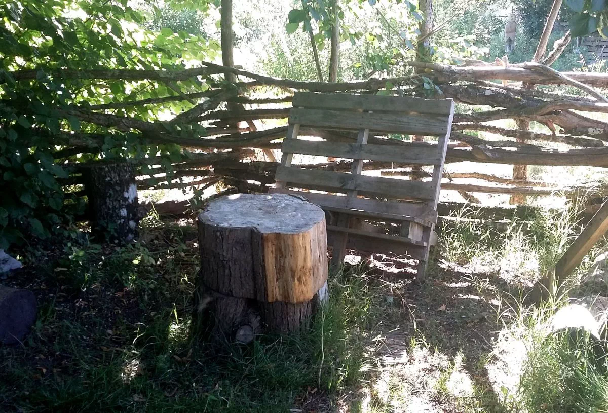 coin de repos compressé.jpg