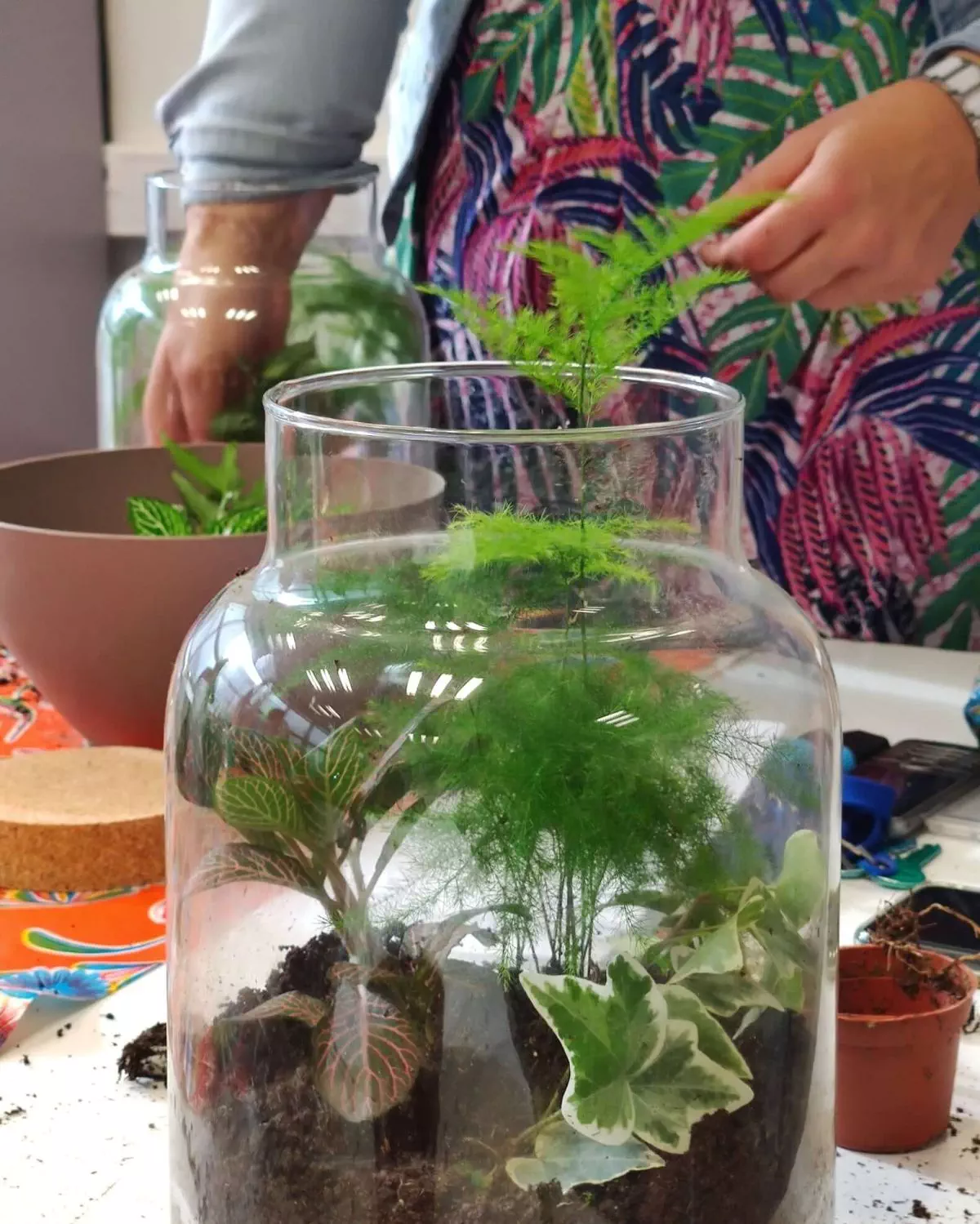 Atelier terrarium végétal