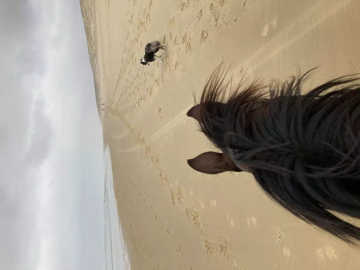 balade à la plage