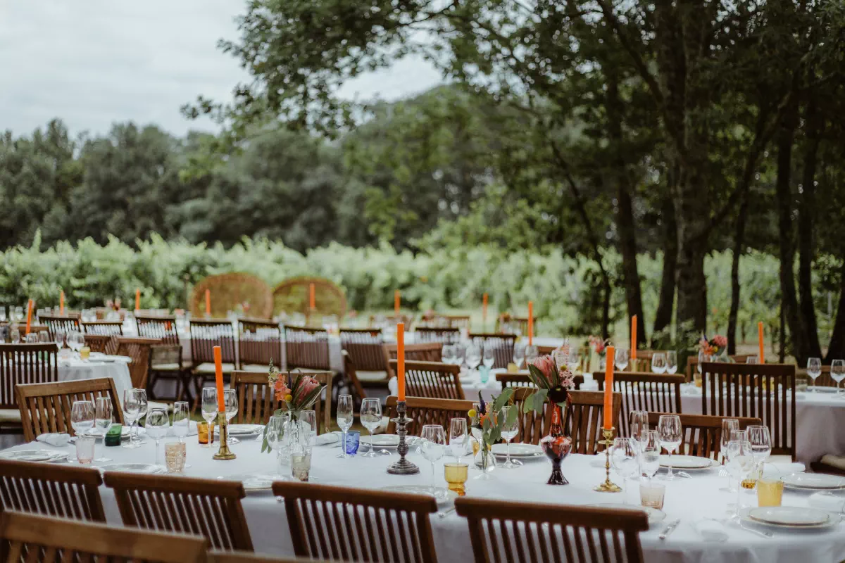 tables au milieu des vignes
