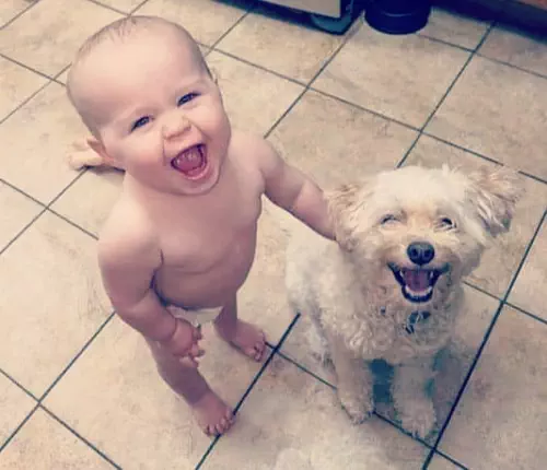 Pack Baby Soirée