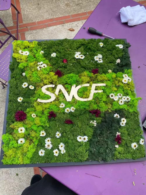 Fresque Végétale 70 cm x 70cm