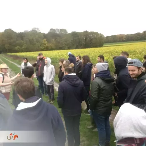 Pistons les animaux sauvages (séminaire nature)