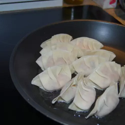 Cours de Gyoza