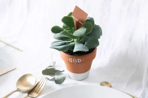 Pot en terre cuite bicolore : cadeau invité mariage