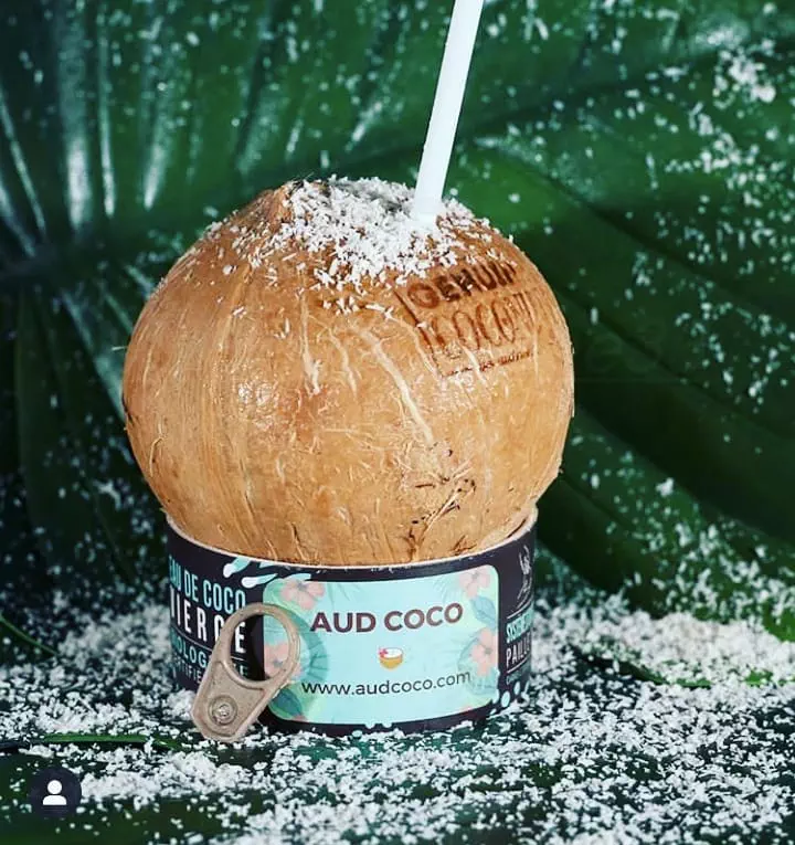 noix de coco fraiche et bio pour cocktails animés.jpg