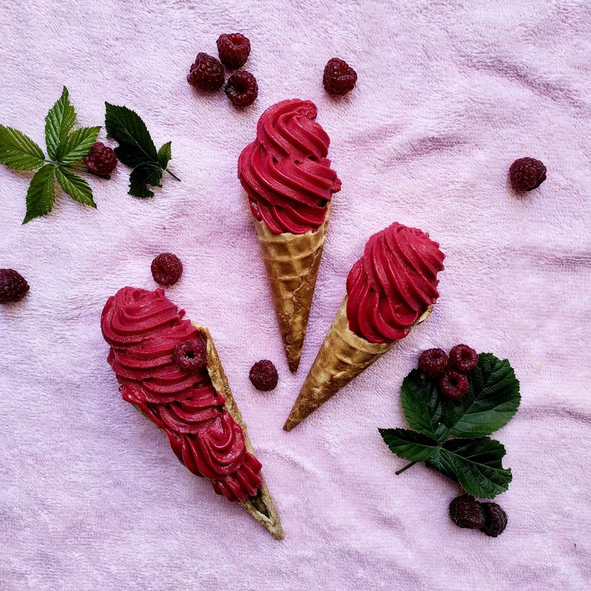 Sorbet plein fruit Framboise