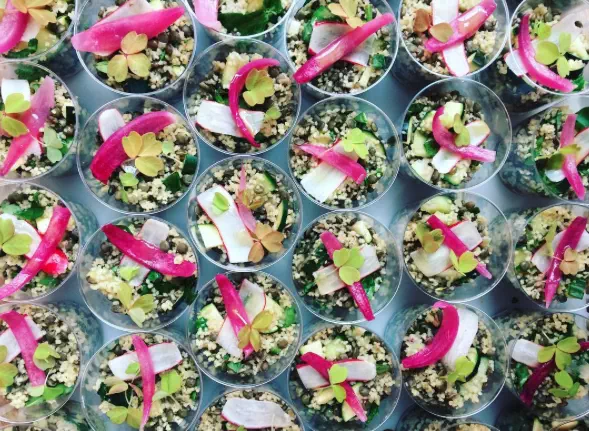 Salad Bowl