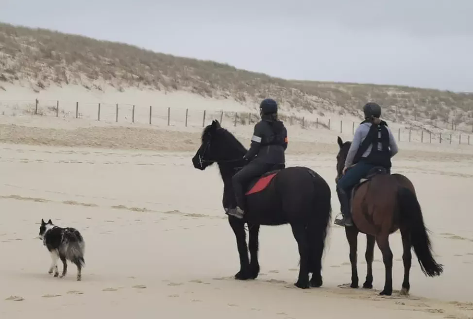 balade à la plage