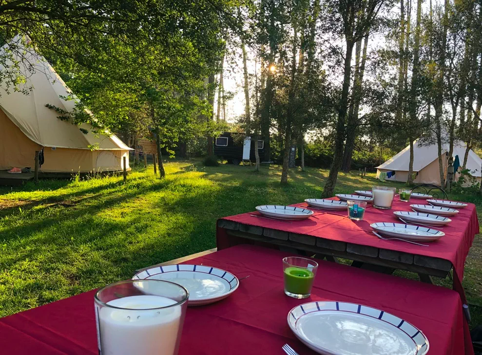 Il y a 2 espaces au Ocean Shelter. Le cote le la guest house/salle commune avec aussi la salle d evenements entoure par ses logements insolites et aussi quelques logements traditionnels et de l autre cote de la propriete il y a des maisons independentes e