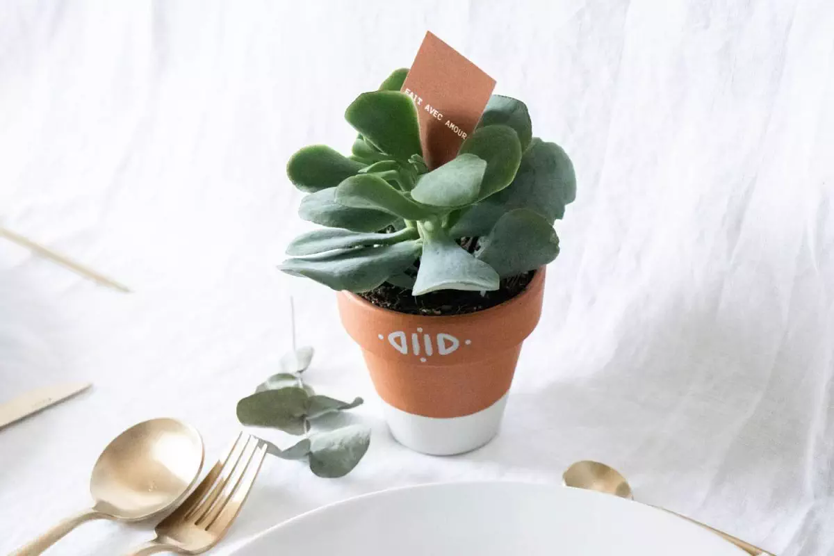 taszuri pot de fleur -08.jpg