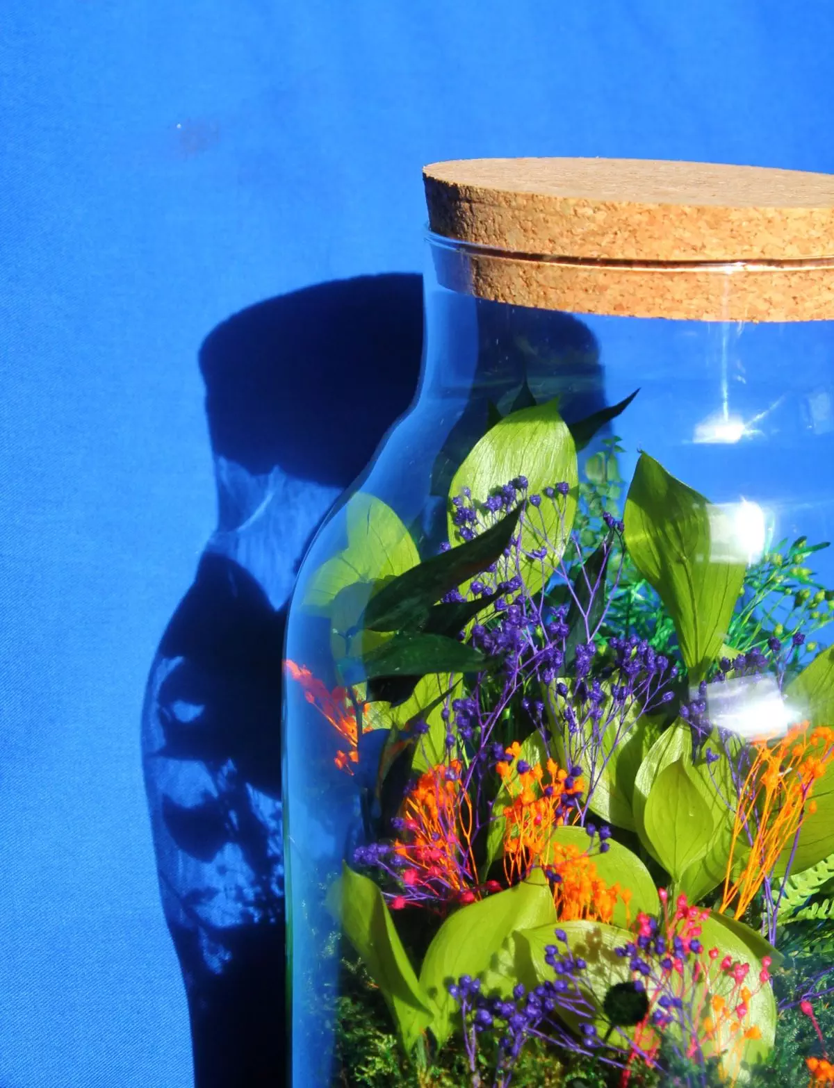 terrarium fleurs sechees