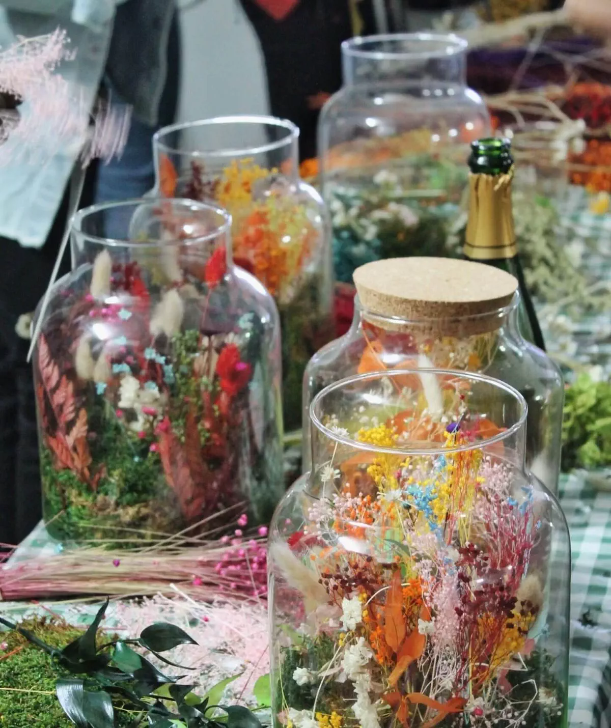 terrariums fleurs séchées