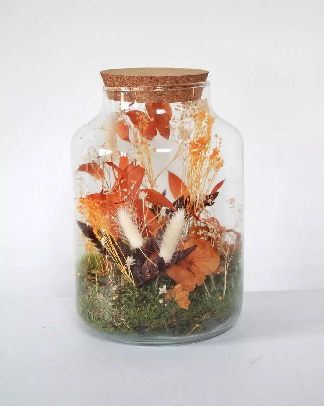 terrarium fleurs séchées