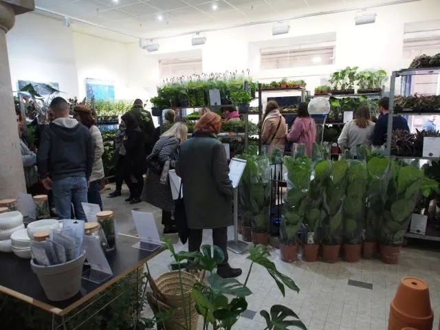 Vente de plantes à la Galerie