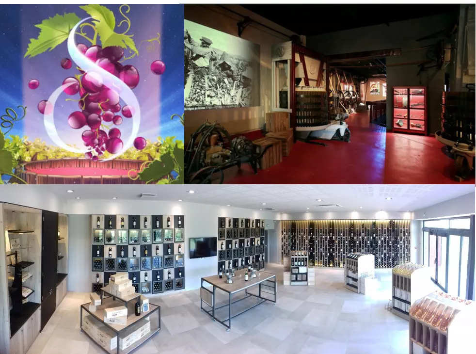 Visites et dégustations en option