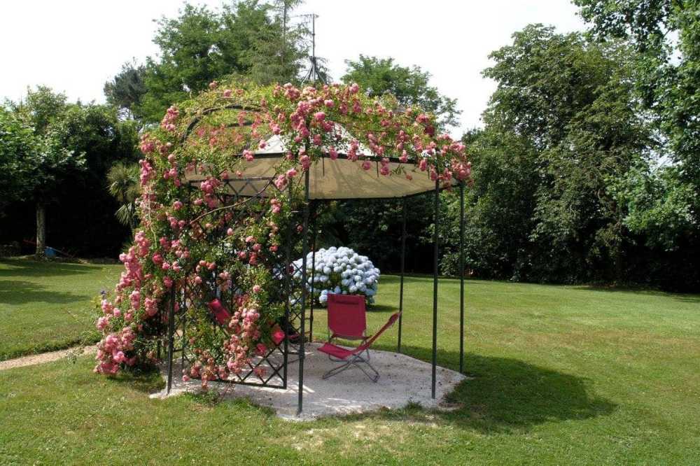 jardin champêtre avec une arche fleurie