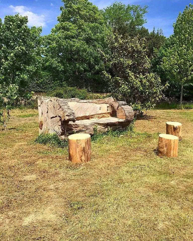 jardin et bancs en bois