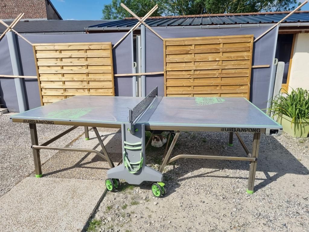 Table de ping-pong