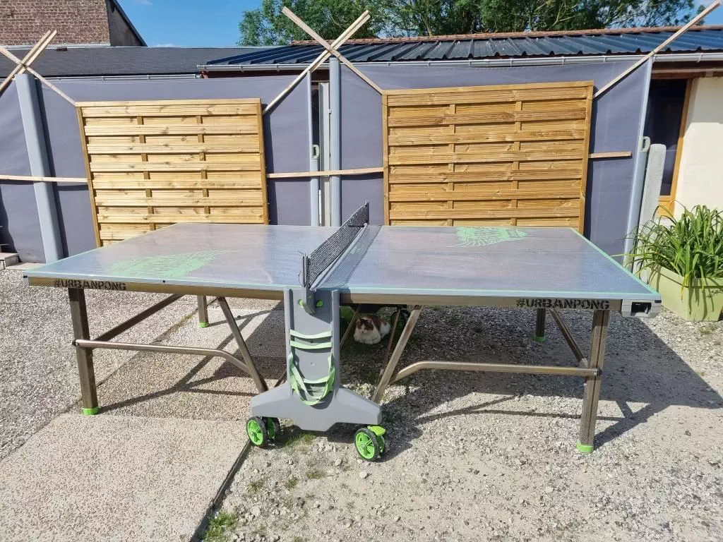 Table de ping-pong