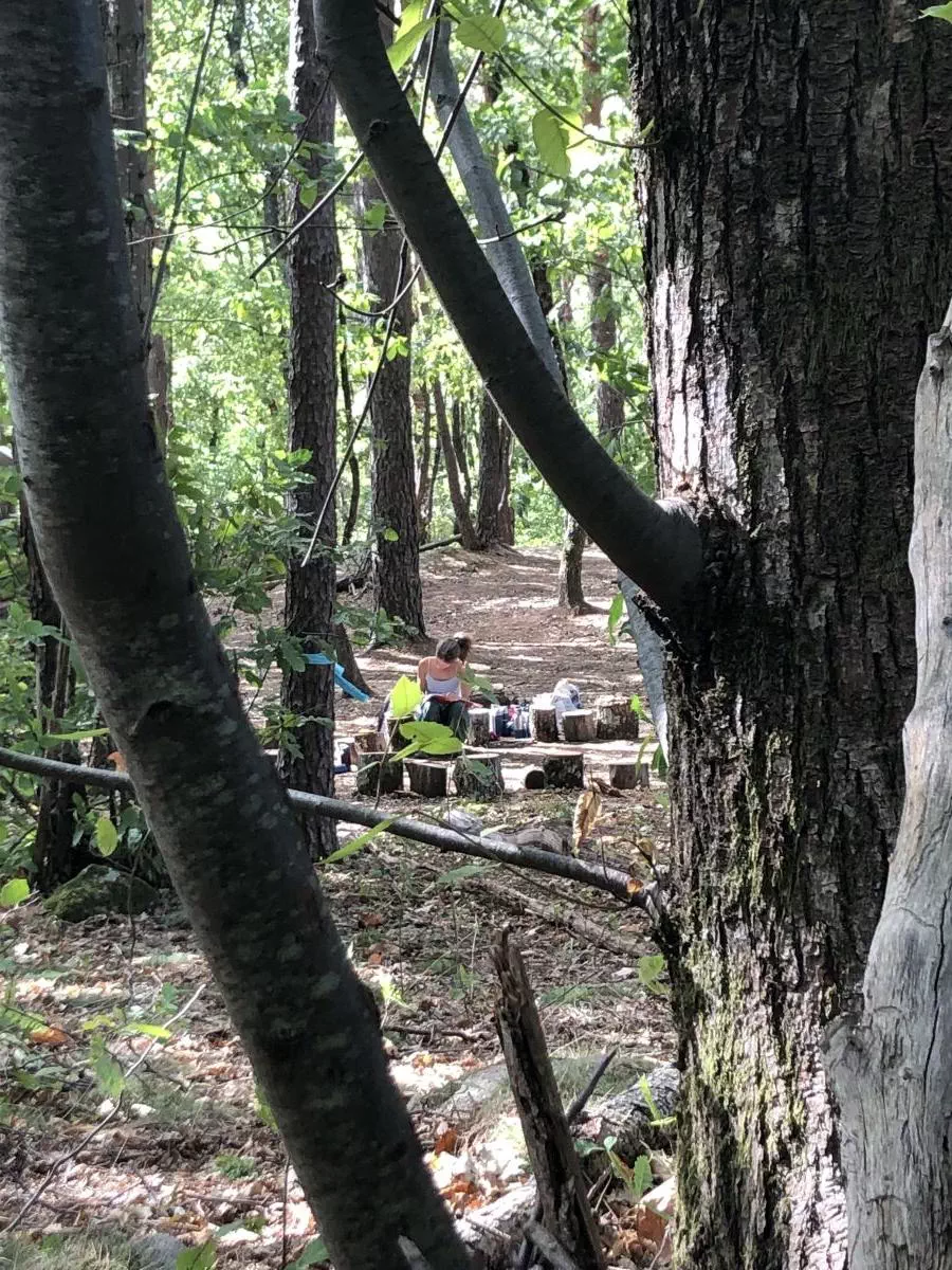 cercle en forêt