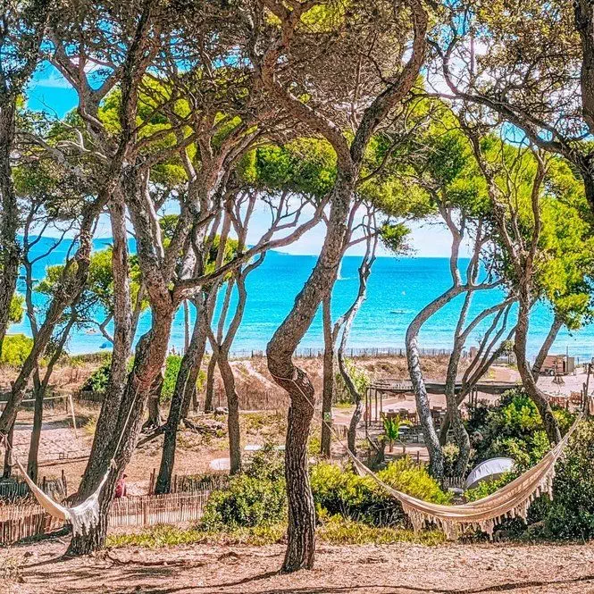 Domaine entre pins et mer