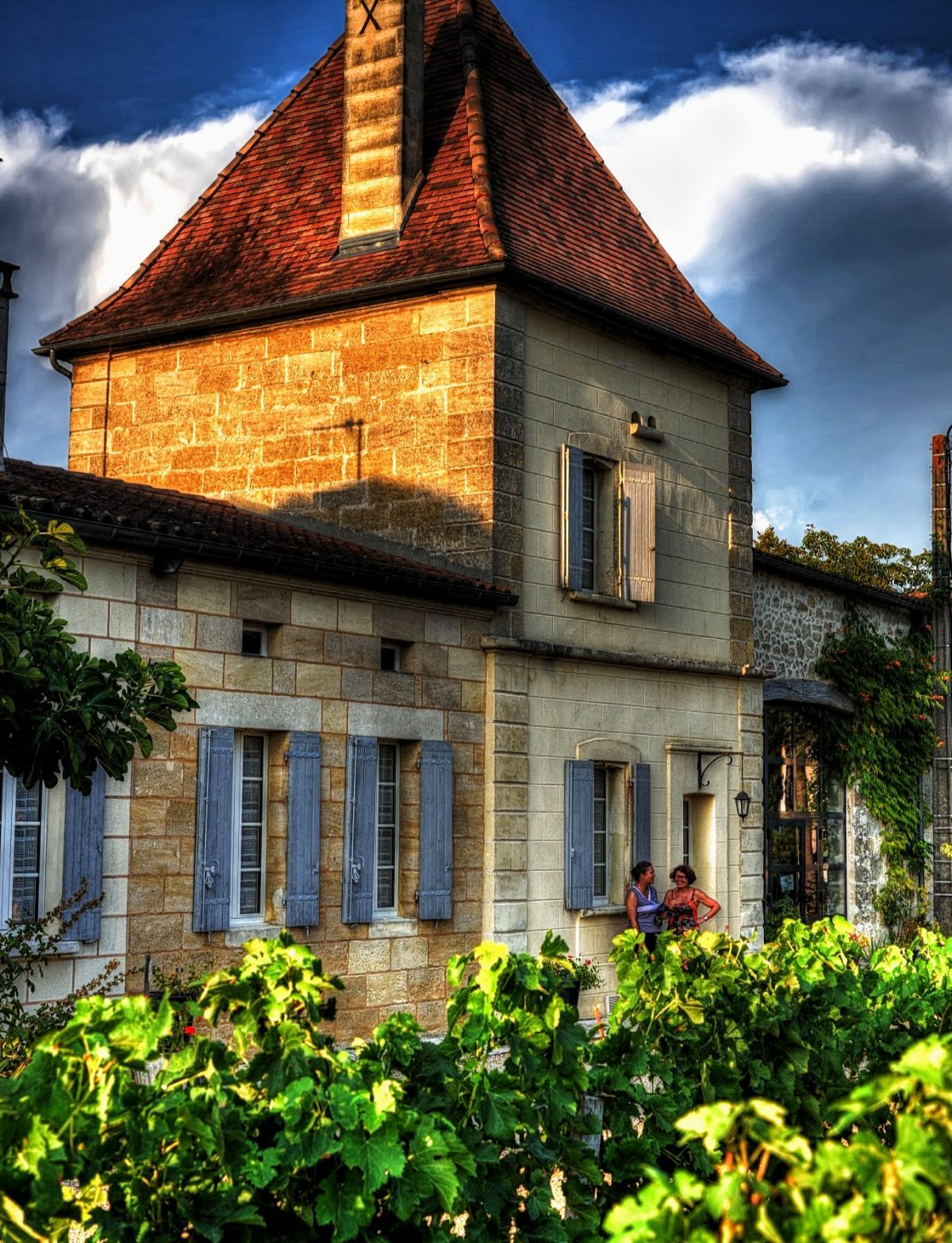 Domaine viticole bordelais bio