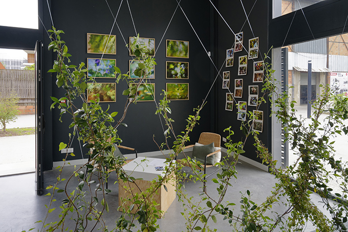 Le Lab-Expositon printemps 2021