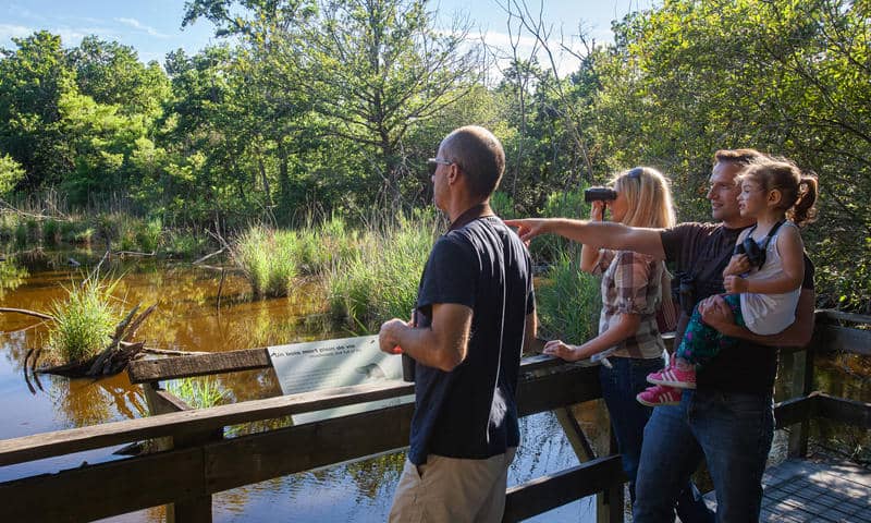 Observation de la nature