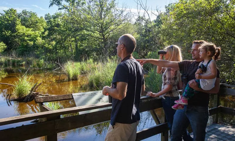 Observation de la nature