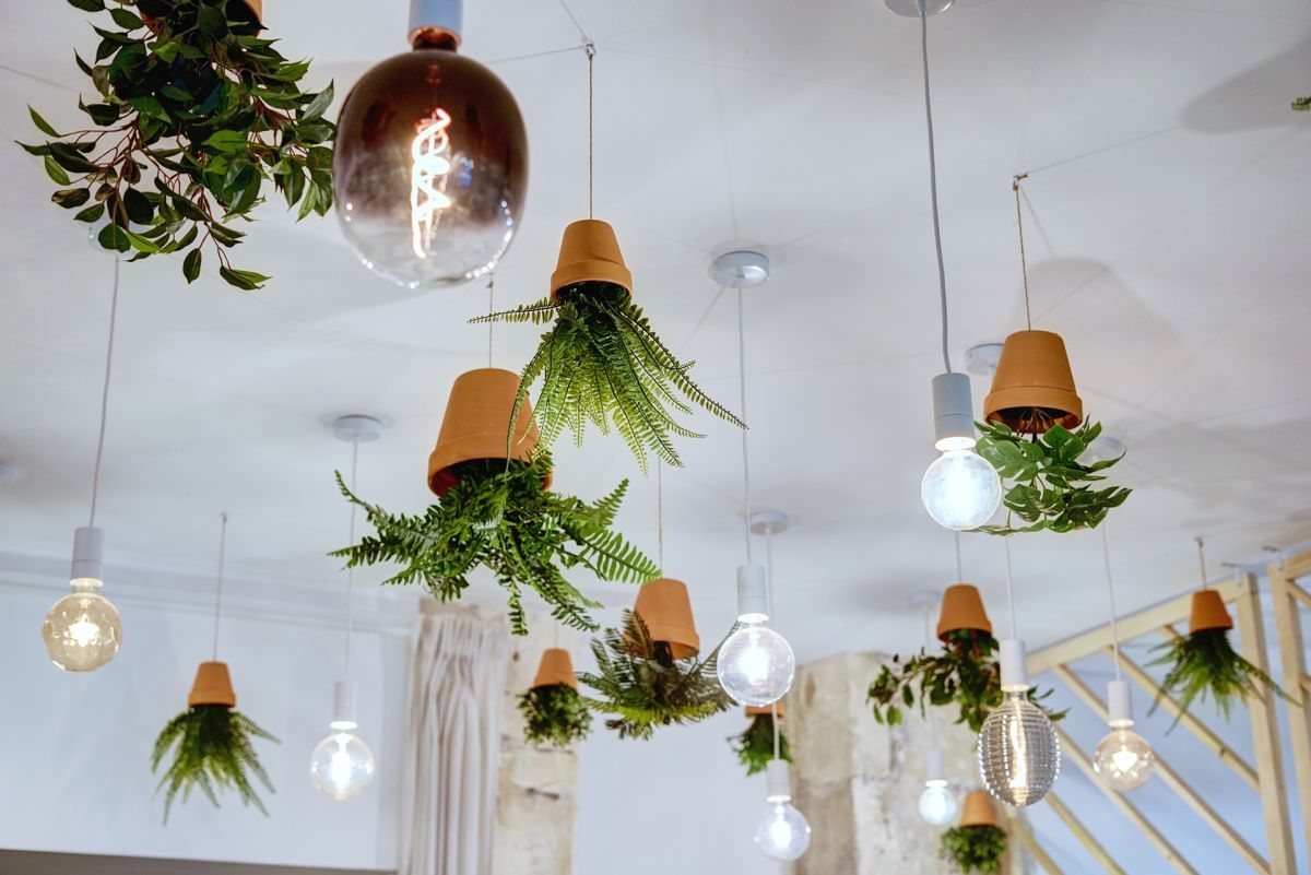 Plantes