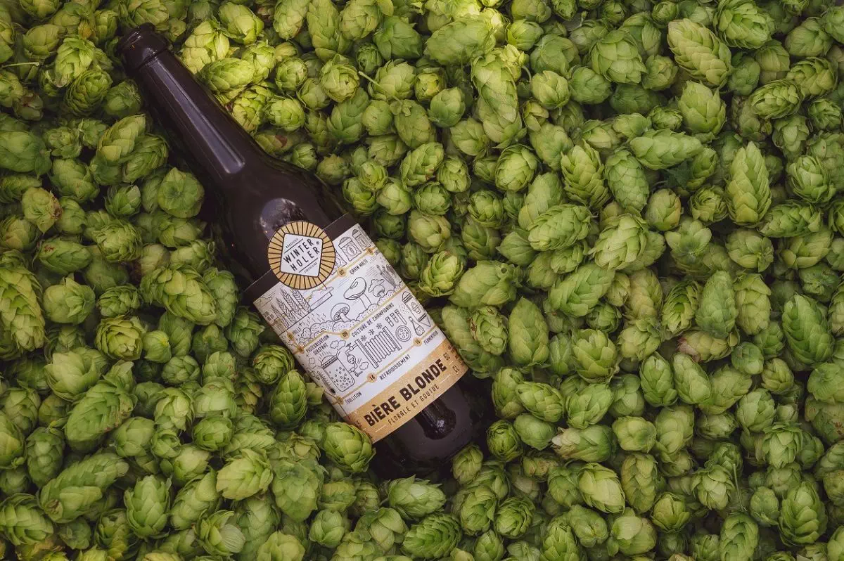 bouteille et houblon.jpg