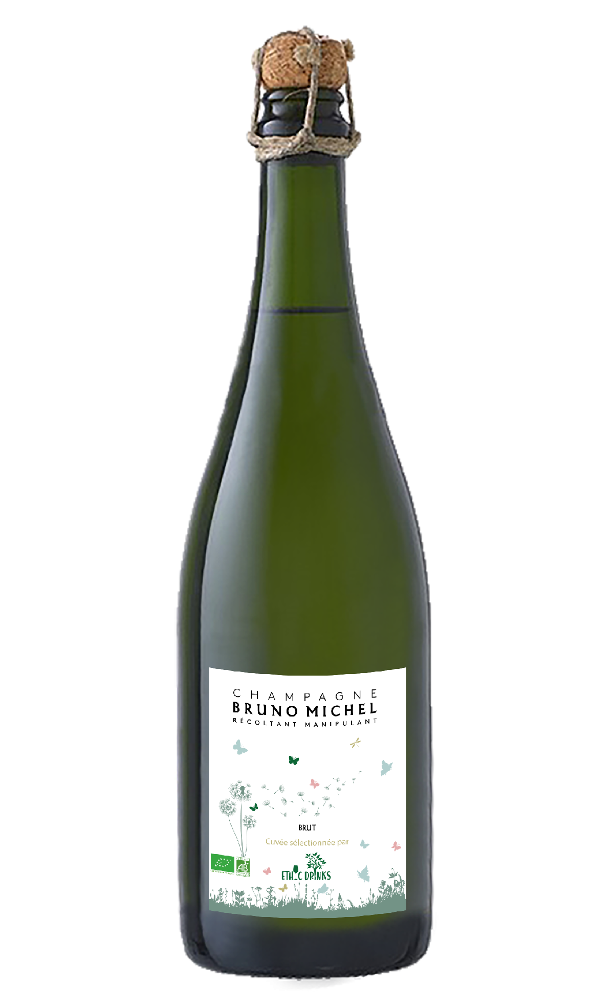 Bruno Michel transparent.png