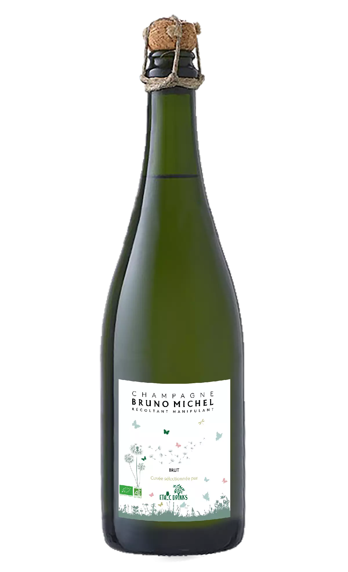 Bruno Michel transparent.png