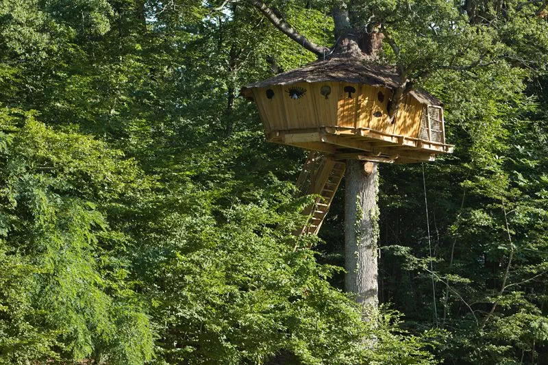 Cabanes dans les arbres