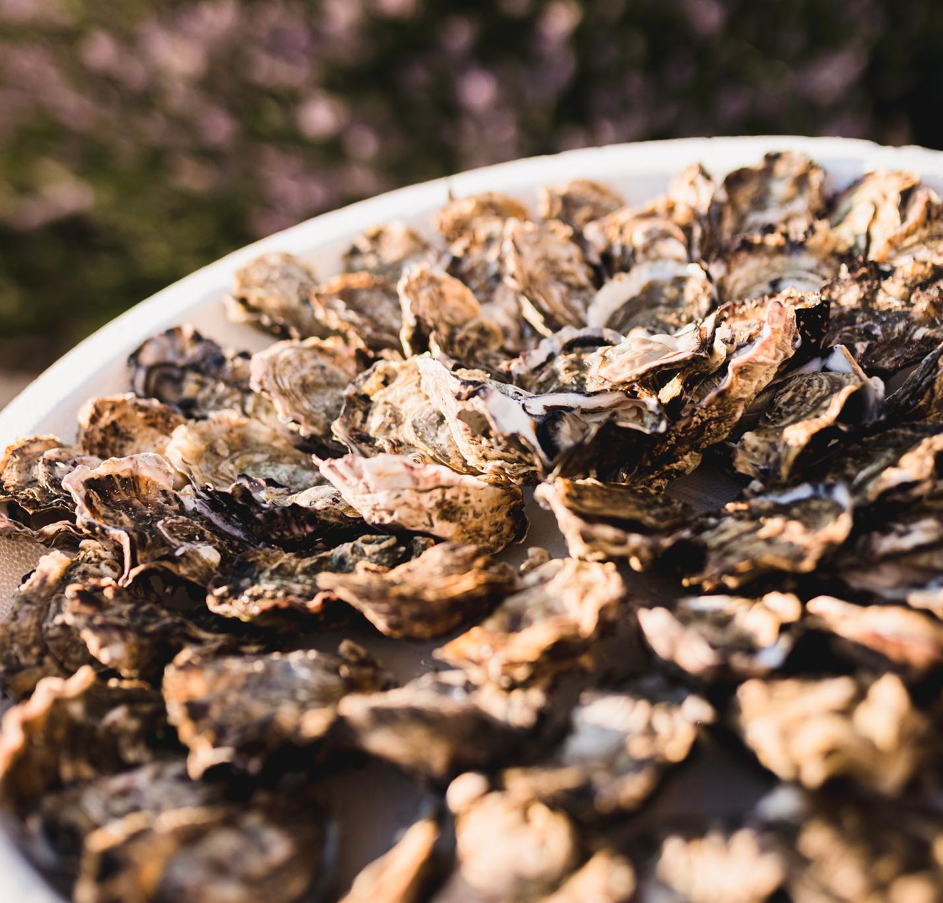 Huîtres locales