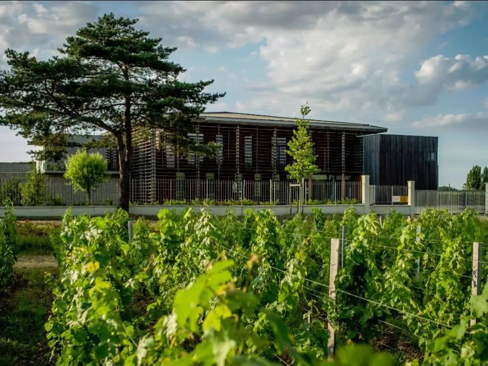 Château Couhins