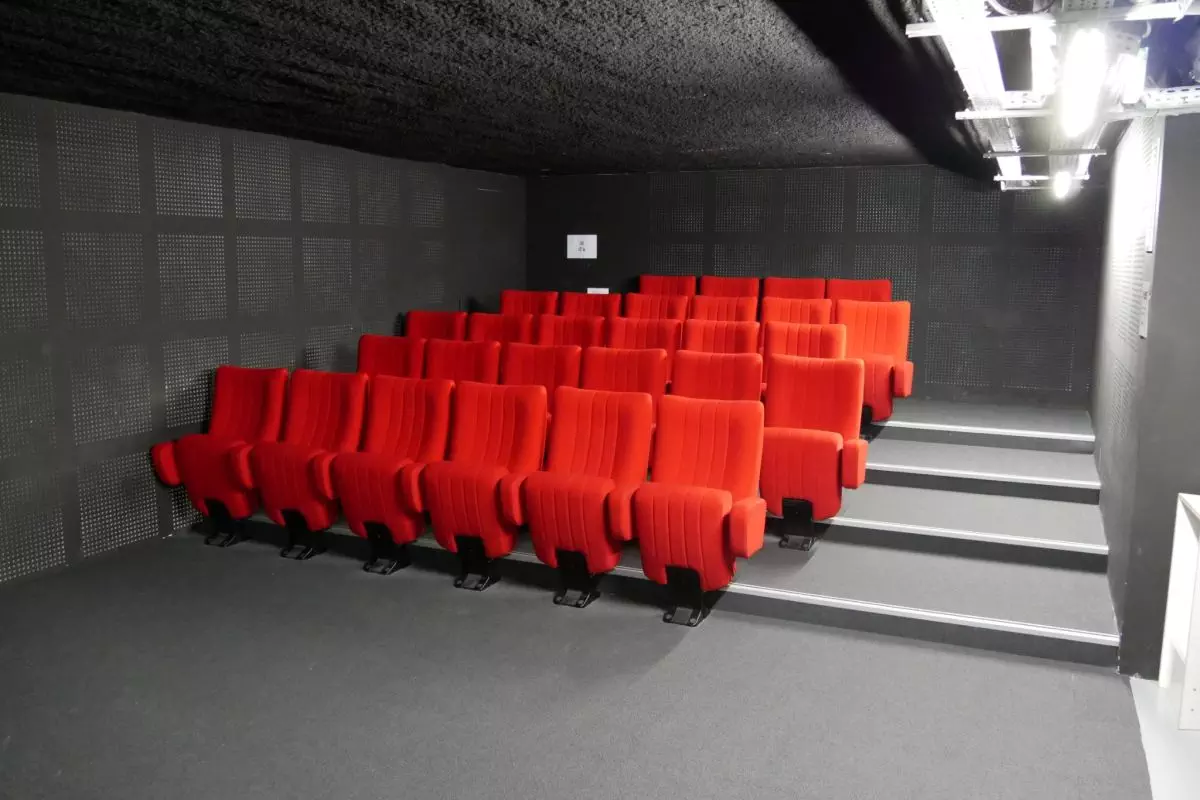 Cinéma de poche