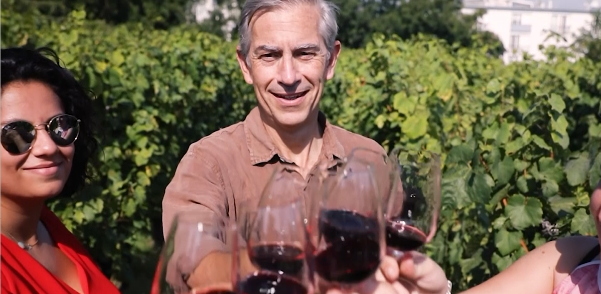 Dégustations Vignes 2