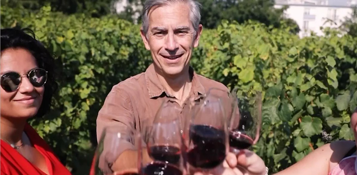 Dégustations Vignes 2