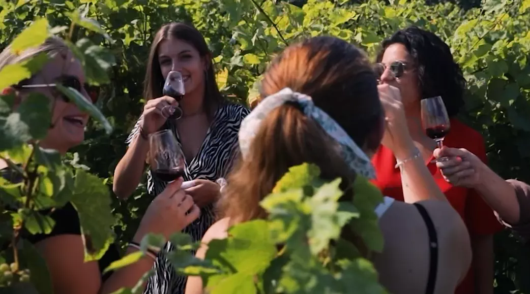 Dégustation Vignes 