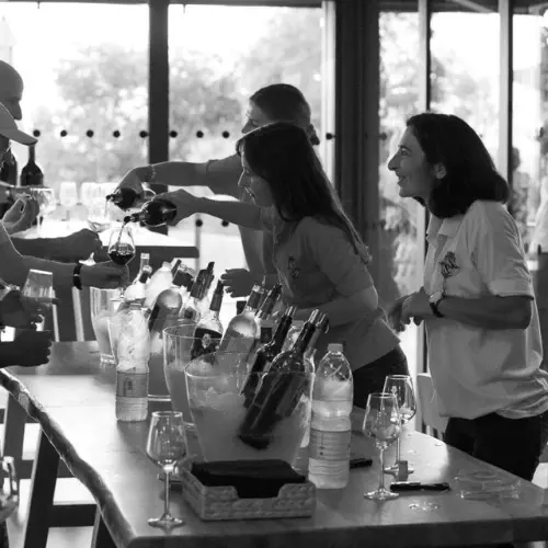 Dégustation de vins