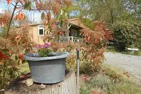 Domaine de la barre salle de récéption